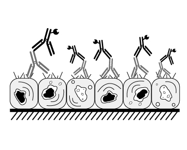 troubleshooting_box_image